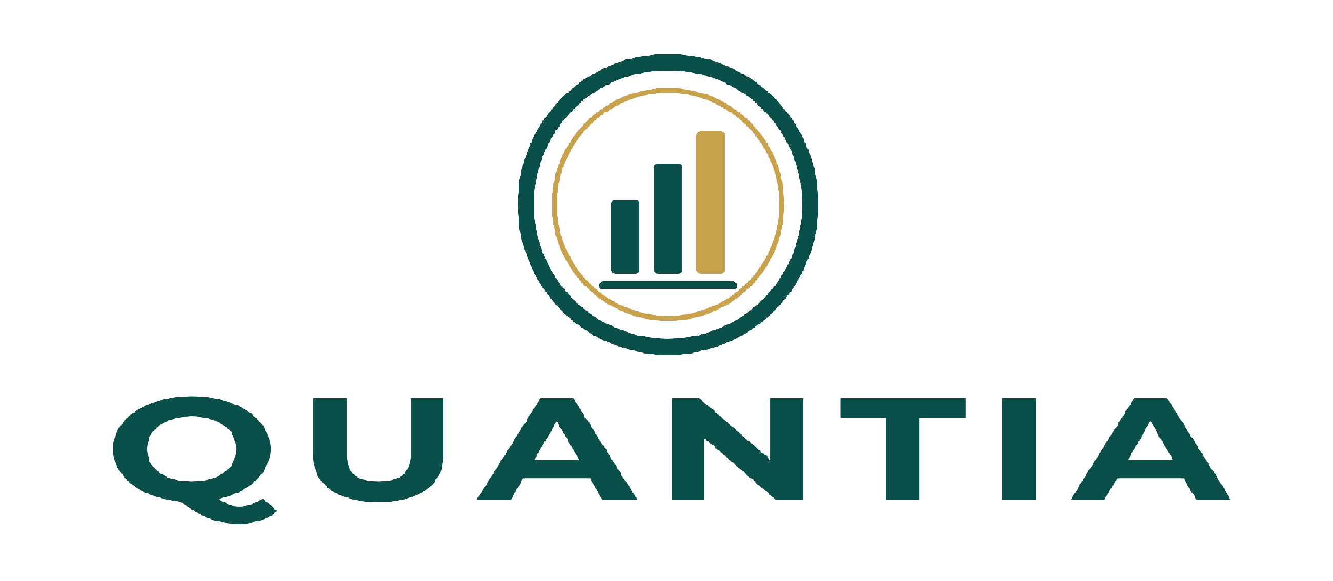 Logo de cliente de contabilidad en Chile
